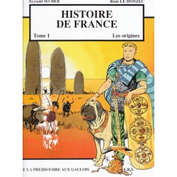 Histoire de France Tome 1 Les origines. De la préhistoire aux Gaulois