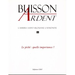 Le péché : quelle importance - Buisson Ardent n° 16