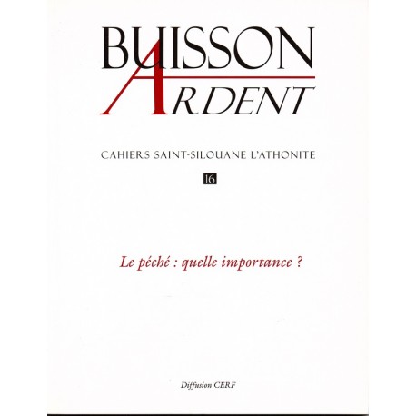 Le péché : quelle importance - Buisson Ardent n° 16