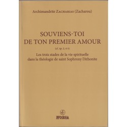 Souviens-toi de ton premier amour. (Livre broché)