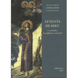 Attente de Dieu - La maladie, la souffrance et la mort