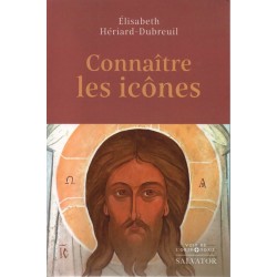 Connaître les icônes