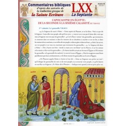 L'Apocalypse en Egypte : De la seconde à la sixième calamités. Ex 7/26-9/12